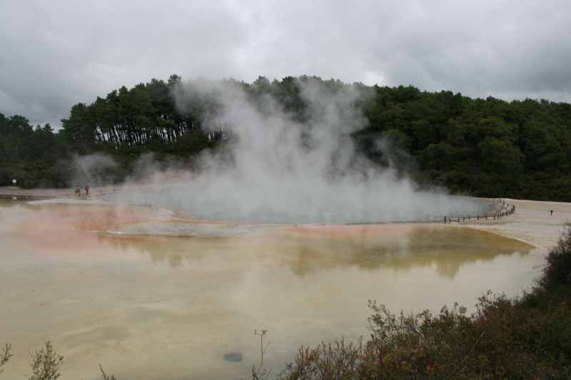 Nieuw-Zeeland 2011 - 0754